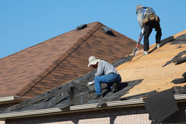 Best Roof Installation  in Lawton, IA