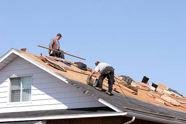 Best Roof Moss and Algae Removal  in Lawton, IA